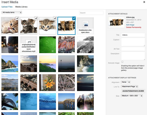 Adding Product Media